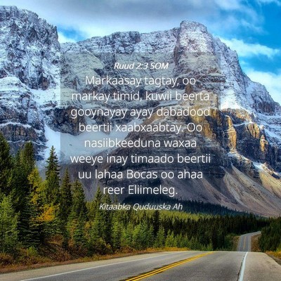 Picture 04 - Ruud 2:3 SOM - Markaasay tagtay, oo markay timid, kuwii beerta - Bible Verse Picture