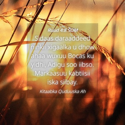 Picture 04 - Ruud 4:8 SOM - Sidaas daraaddeed ninkii xigaalka u dhow ahaa - Bible Verse Picture