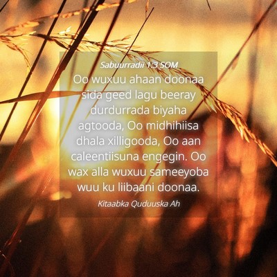 Picture 04 - Sabuurradii 1:3 SOM - Oo wuxuu ahaan doonaa sida geed lagu beeray - Bible Verse Picture