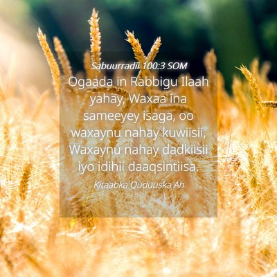 Picture 04 - Sabuurradii 100:3 SOM - Ogaada in Rabbigu Ilaah yahay, Waxaa ina sameeyey - Bible Verse Picture