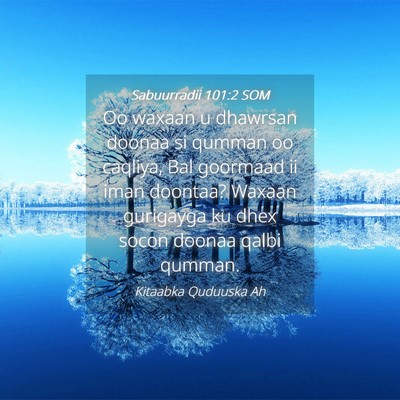 Picture 04 - Sabuurradii 101:2 SOM - Oo waxaan u dhawrsan doonaa si qumman oo caqliya, - Bible Verse Picture