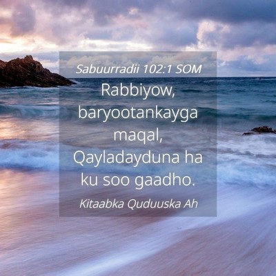 Picture 04 - Sabuurradii 102:1 SOM - Rabbiyow, baryootankayga maqal, Qayladayduna ha - Bible Verse Picture