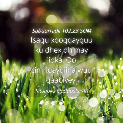 Picture 04 - Sabuurradii 102:23 SOM - Isagu xooggayguu ku dhex dhimay jidka, Oo - Bible Verse Picture