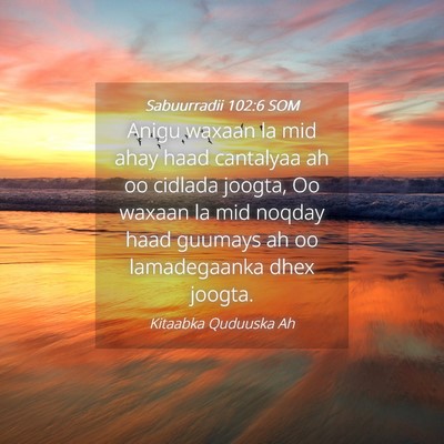 Picture 04 - Sabuurradii 102:6 SOM - Anigu waxaan la mid ahay haad cantalyaa ah oo - Bible Verse Picture