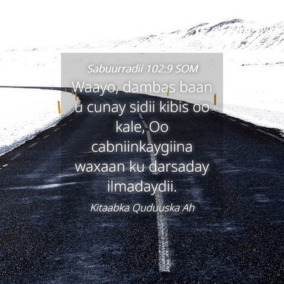 Picture 04 - Sabuurradii 102:9 SOM - Waayo, dambas baan u cunay sidii kibis oo kale, - Bible Verse Picture