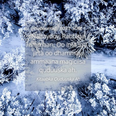 Picture 04 - Sabuurradii 103:1 SOM - Naftaydoy, Rabbiga ammaan, Oo inta igu jirta oo - Bible Verse Picture