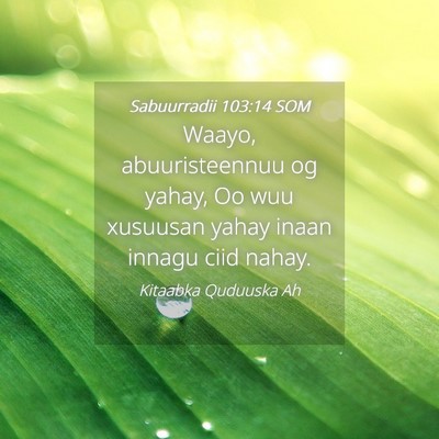 Picture 04 - Sabuurradii 103:14 SOM - Waayo, abuuristeennuu og yahay, Oo wuu xusuusan - Bible Verse Picture