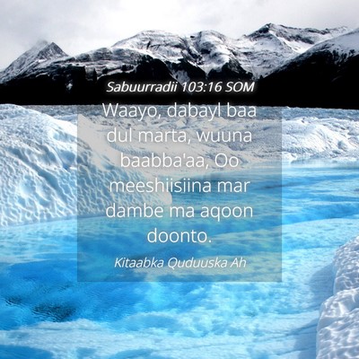 Picture 04 - Sabuurradii 103:16 SOM - Waayo, dabayl baa dul marta, wuuna baabba'aa, Oo - Bible Verse Picture
