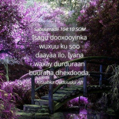 Picture 04 - Sabuurradii 104:10 SOM - Isagu dooxooyinka wuxuu ku soo daayaa ilo, Iyana - Bible Verse Picture
