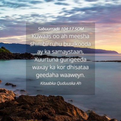 Picture 04 - Sabuurradii 104:17 SOM - Kuwaas oo ah meesha shimbirruhu buulkooda ay ka - Bible Verse Picture