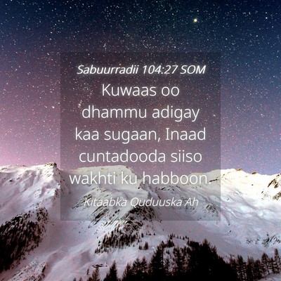 Picture 04 - Sabuurradii 104:27 SOM - Kuwaas oo dhammu adigay kaa sugaan, Inaad - Bible Verse Picture