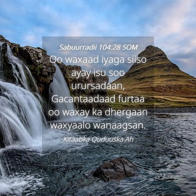 Picture 04 - Sabuurradii 104:28 SOM - Oo waxaad iyaga siiso ayay isu soo urursadaan, - Bible Verse Picture