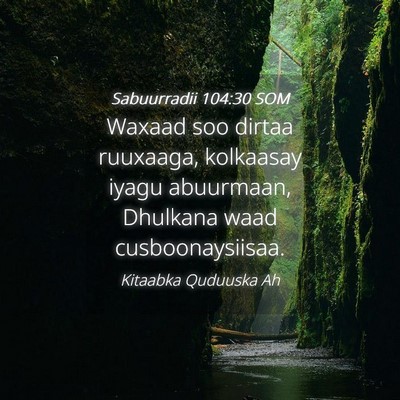 Picture 04 - Sabuurradii 104:30 SOM - Waxaad soo dirtaa ruuxaaga, kolkaasay iyagu - Bible Verse Picture