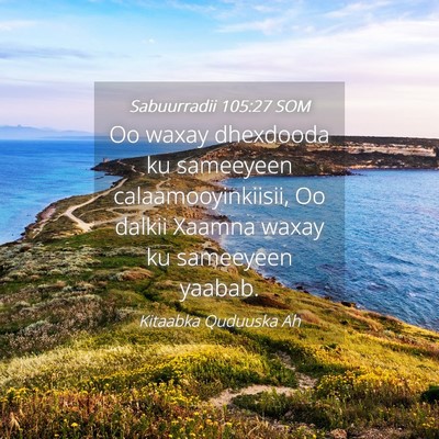 Picture 04 - Sabuurradii 105:27 SOM - Oo waxay dhexdooda ku sameeyeen - Bible Verse Picture