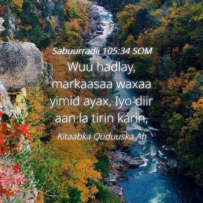 Picture 04 - Sabuurradii 105:34 SOM - Wuu hadlay, markaasaa waxaa yimid ayax, Iyo diir - Bible Verse Picture