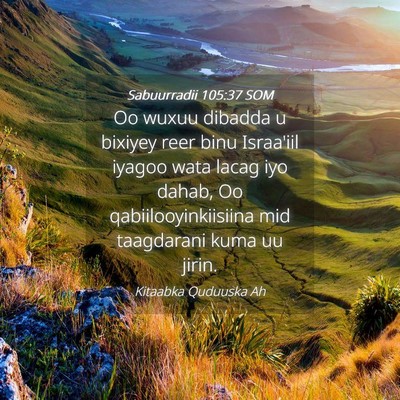 Picture 04 - Sabuurradii 105:37 SOM - Oo wuxuu dibadda u bixiyey reer binu Israa'iil - Bible Verse Picture