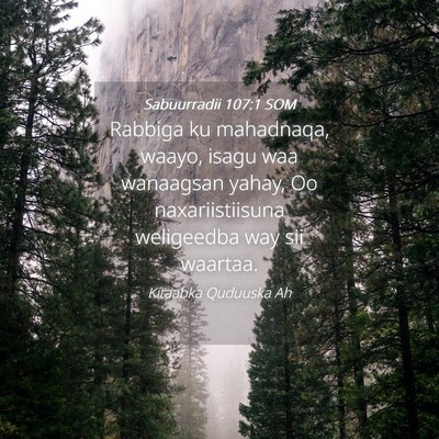 Picture 04 - Sabuurradii 107:1 SOM - Rabbiga ku mahadnaqa, waayo, isagu waa wanaagsan - Bible Verse Picture