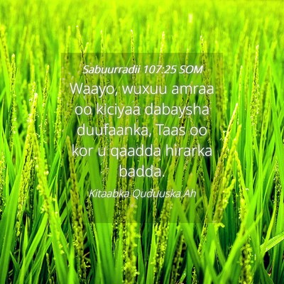 Picture 04 - Sabuurradii 107:25 SOM - Waayo, wuxuu amraa oo kiciyaa dabaysha duufaanka, - Bible Verse Picture