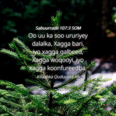 Picture 04 - Sabuurradii 107:3 SOM - Oo uu ka soo ururiyey dalalka, Xagga bari, iyo - Bible Verse Picture