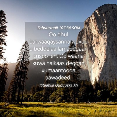 Picture 04 - Sabuurradii 107:34 SOM - Oo dhul barwaaqaysanna wuxuu u beddelaa - Bible Verse Picture