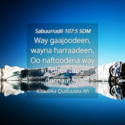 Picture 04 - Sabuurradii 107:5 SOM - Way gaajoodeen, wayna harraadeen, Oo naftoodiina - Bible Verse Picture