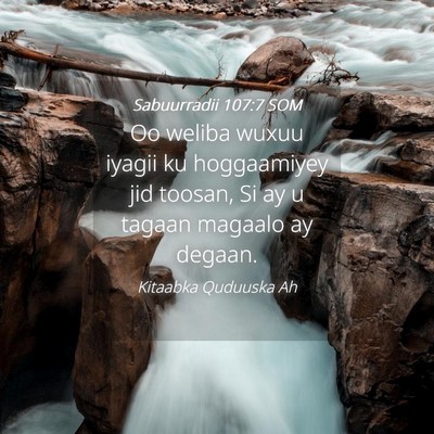 Picture 04 - Sabuurradii 107:7 SOM - Oo weliba wuxuu iyagii ku hoggaamiyey jid toosan, - Bible Verse Picture