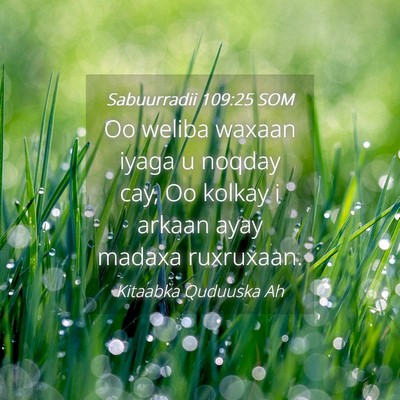 Picture 04 - Sabuurradii 109:25 SOM - Oo weliba waxaan iyaga u noqday cay, Oo kolkay i - Bible Verse Picture