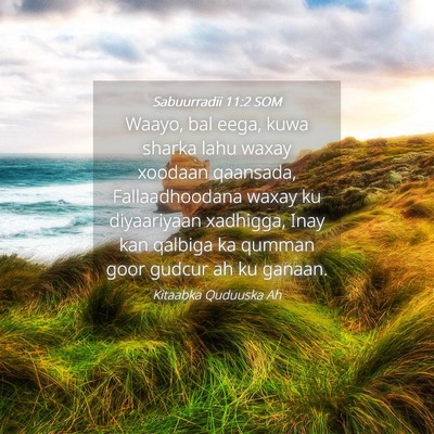 Picture 04 - Sabuurradii 11:2 SOM - Waayo, bal eega, kuwa sharka lahu waxay xoodaan - Bible Verse Picture