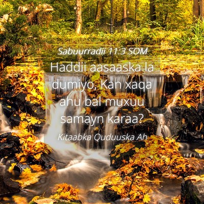 Picture 04 - Sabuurradii 11:3 SOM - Haddii aasaaska la dumiyo, Kan xaqa ahu bal muxuu - Bible Verse Picture