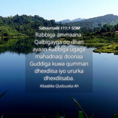 Picture 04 - Sabuurradii 111:1 SOM - Rabbiga ammaana. Qalbigayga oo dhan ayaan Rabbiga - Bible Verse Picture