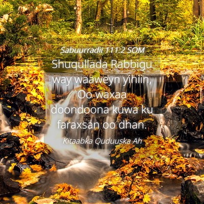 Picture 04 - Sabuurradii 111:2 SOM - Shuqullada Rabbigu way waaweyn yihiin, Oo waxaa - Bible Verse Picture