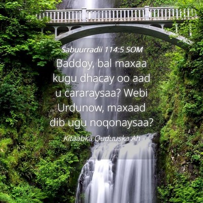 Picture 04 - Sabuurradii 114:5 SOM - Baddoy, bal maxaa kugu dhacay oo aad u - Bible Verse Picture