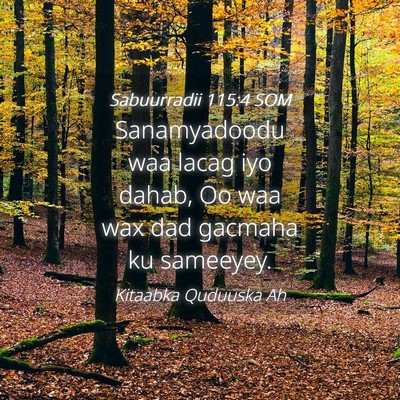 Picture 04 - Sabuurradii 115:4 SOM - Sanamyadoodu waa lacag iyo dahab, Oo waa wax dad - Bible Verse Picture