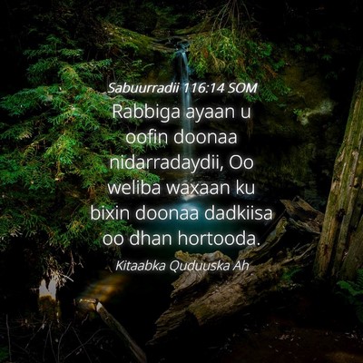 Picture 04 - Sabuurradii 116:14 SOM - Rabbiga ayaan u oofin doonaa nidarradaydii, Oo - Bible Verse Picture
