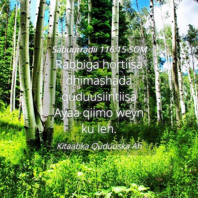 Picture 04 - Sabuurradii 116:15 SOM - Rabbiga hortiisa dhimashada quduusiintiisa Ayaa - Bible Verse Picture