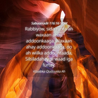 Picture 04 - Sabuurradii 116:16 SOM - Rabbiyow, sida runta ah waxaan ahay addoonkaaga, - Bible Verse Picture