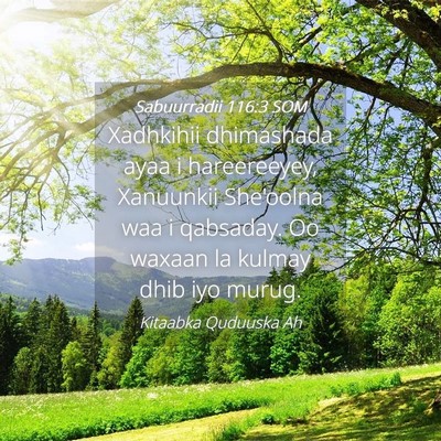 Picture 04 - Sabuurradii 116:3 SOM - Xadhkihii dhimashada ayaa i hareereeyey, - Bible Verse Picture