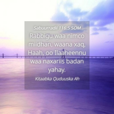 Picture 04 - Sabuurradii 116:5 SOM - Rabbigu waa nimco miidhan, waana xaq, Haah, oo - Bible Verse Picture