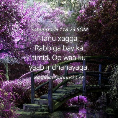 Picture 04 - Sabuurradii 118:23 SOM - Tanu xagga Rabbiga bay ka timid, Oo waa ku yaab - Bible Verse Picture