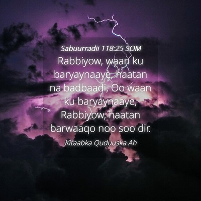 Picture 04 - Sabuurradii 118:25 SOM - Rabbiyow, waan ku baryaynaaye, haatan na - Bible Verse Picture