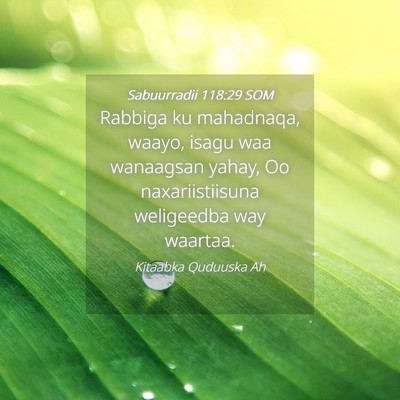 Picture 04 - Sabuurradii 118:29 SOM - Rabbiga ku mahadnaqa, waayo, isagu waa wanaagsan - Bible Verse Picture