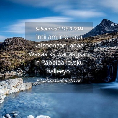 Picture 04 - Sabuurradii 118:9 SOM - Intii amiirro lagu kalsoonaan lahaa Waxaa ka - Bible Verse Picture