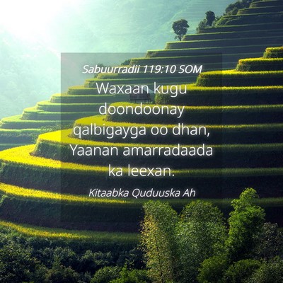 Picture 04 - Sabuurradii 119:10 SOM - Waxaan kugu doondoonay qalbigayga oo dhan, Yaanan - Bible Verse Picture