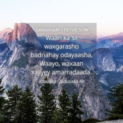 Picture 04 - Sabuurradii 119:100 SOM - Waan ka sii waxgarasho badnahay odayaasha, Waayo, - Bible Verse Picture