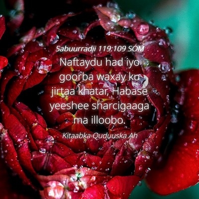 Picture 04 - Sabuurradii 119:109 SOM - Naftaydu had iyo goorba waxay ku jirtaa khatar, - Bible Verse Picture