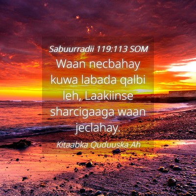 Picture 04 - Sabuurradii 119:113 SOM - Waan necbahay kuwa labada qalbi leh, Laakiinse - Bible Verse Picture