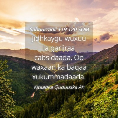 Picture 04 - Sabuurradii 119:120 SOM - Jidhkaygu wuxuu la gariiraa cabsidaada, Oo waxaan - Bible Verse Picture