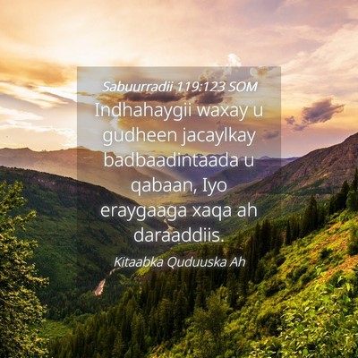 Picture 04 - Sabuurradii 119:123 SOM - Indhahaygii waxay u gudheen jacaylkay - Bible Verse Picture