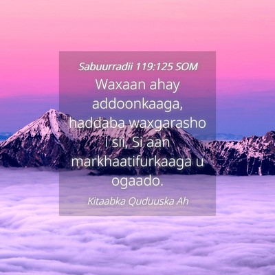 Picture 04 - Sabuurradii 119:125 SOM - Waxaan ahay addoonkaaga, haddaba waxgarasho i - Bible Verse Picture