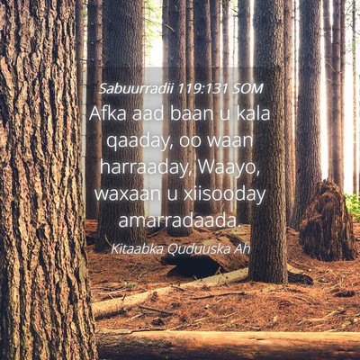 Picture 04 - Sabuurradii 119:131 SOM - Afka aad baan u kala qaaday, oo waan harraaday, - Bible Verse Picture